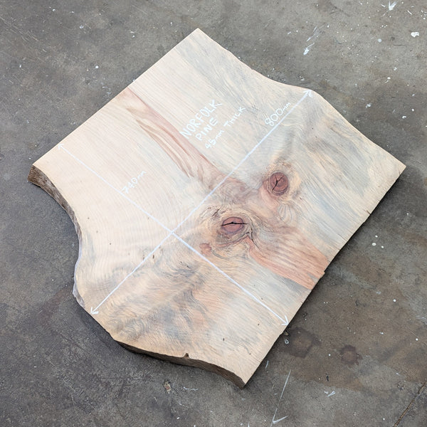 Norfolk Pine Timber Slab