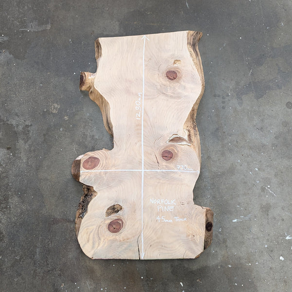 Norfolk Pine Timber Slab