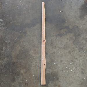 Silky Oak Timber Slab