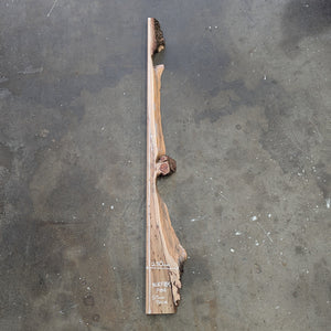 Norfolk Pine Timber Slab