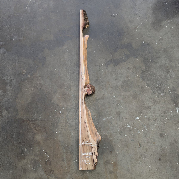 Norfolk Pine Timber Slab