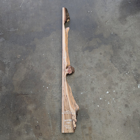 Norfolk Pine Timber Slab