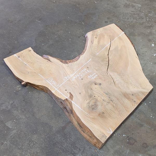 Himalayan Timber Slab